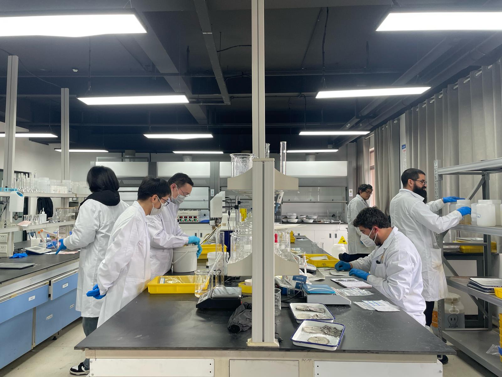 Trabajo de laboratorio 1